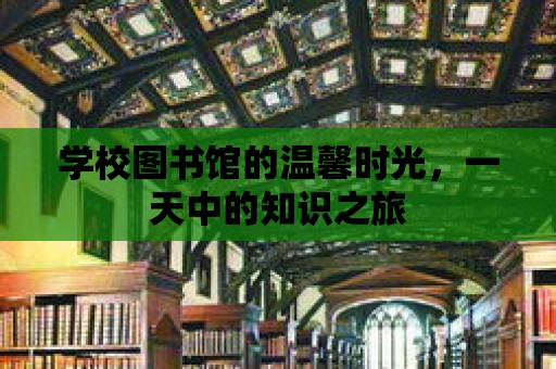 學校圖書館的溫馨時光，一天中的知識之旅