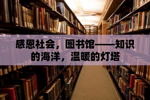 感恩社會，圖書館——知識的海洋，溫暖的燈塔