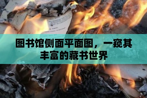 圖書館側(cè)面平面圖，一窺其豐富的藏書世界