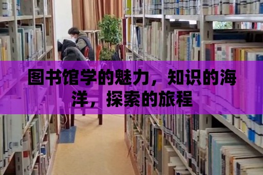 圖書館學的魅力，知識的海洋，探索的旅程