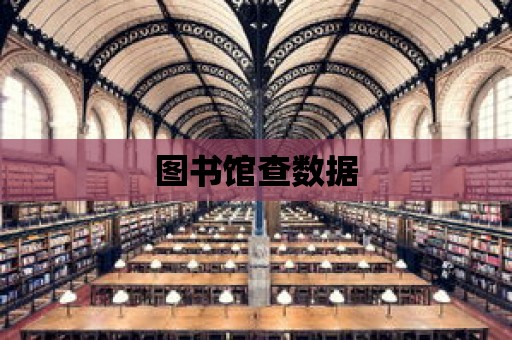 圖書館查數據