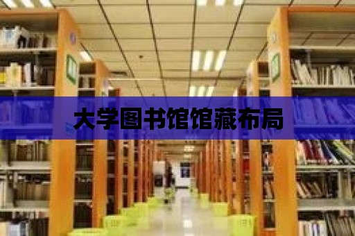 大學圖書館館藏布局