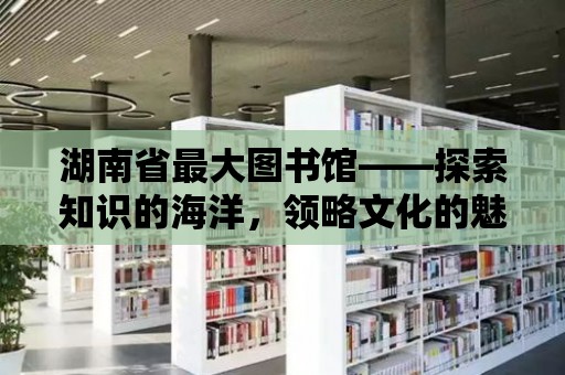 湖南省最大圖書館——探索知識(shí)的海洋，領(lǐng)略文化的魅力