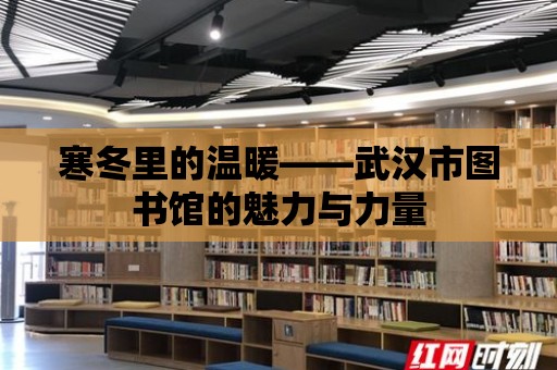 寒冬里的溫暖——武漢市圖書館的魅力與力量