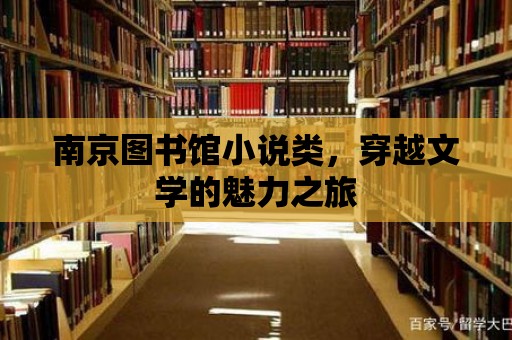 南京圖書館小說類，穿越文學的魅力之旅