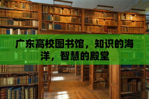 廣東高校圖書館，知識的海洋，智慧的殿堂