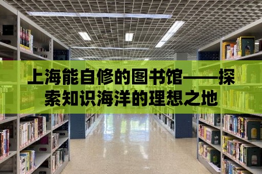 上海能自修的圖書館——探索知識海洋的理想之地