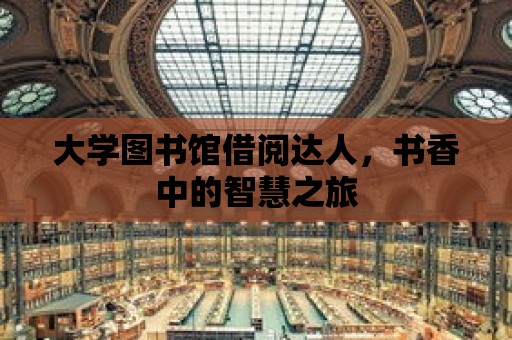 大學(xué)圖書館借閱達人，書香中的智慧之旅