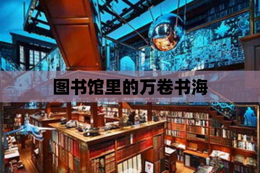 圖書館里的萬卷書海