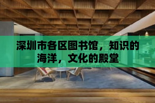 深圳市各區(qū)圖書館，知識的海洋，文化的殿堂