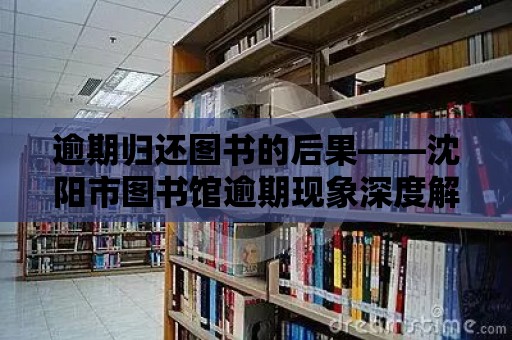 逾期歸還圖書的后果——沈陽市圖書館逾期現象深度解析