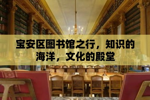 寶安區圖書館之行，知識的海洋，文化的殿堂