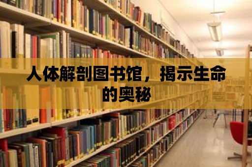 人體解剖圖書館，揭示生命的奧秘