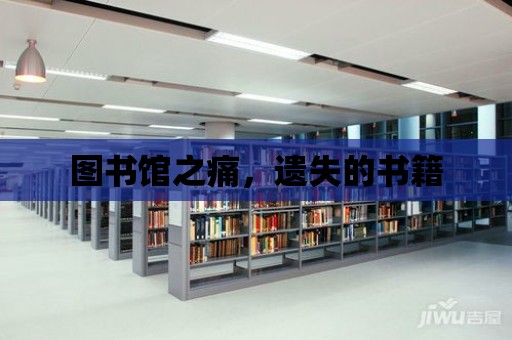 圖書館之痛，遺失的書籍