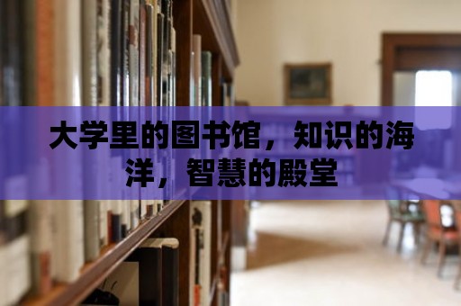 大學(xué)里的圖書館，知識的海洋，智慧的殿堂