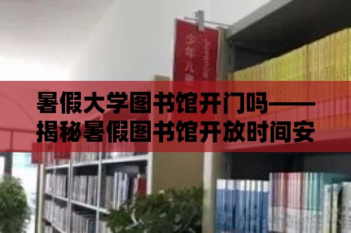 暑假大學(xué)圖書館開門嗎——揭秘暑假圖書館開放時(shí)間安排