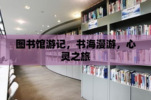 圖書館游記，書海漫游，心靈之旅