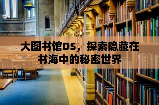 大圖書館DS，探索隱藏在書海中的秘密世界