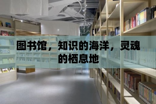 圖書館，知識的海洋，靈魂的棲息地