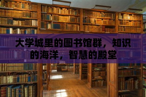 大學城里的圖書館群，知識的海洋，智慧的殿堂