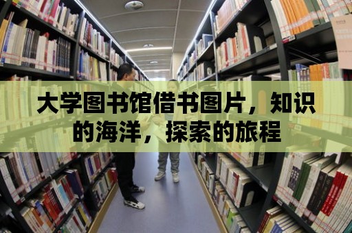 大學圖書館借書圖片，知識的海洋，探索的旅程