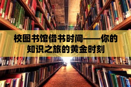 校圖書館借書時間——你的知識之旅的黃金時刻