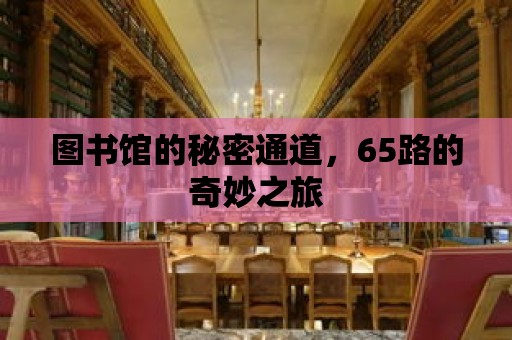 圖書(shū)館的秘密通道，65路的奇妙之旅