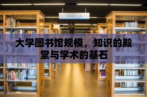 大學圖書館規模，知識的殿堂與學術的基石