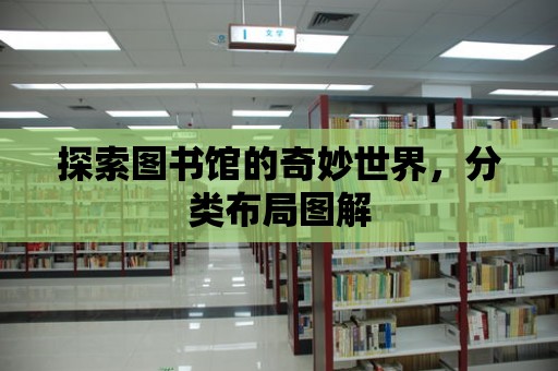 探索圖書館的奇妙世界，分類布局圖解