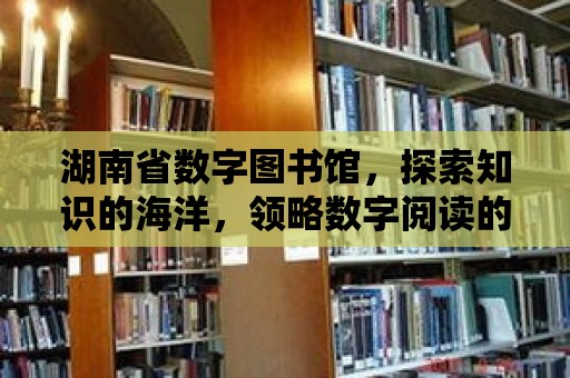 湖南省數字圖書館，探索知識的海洋，領略數字閱讀的魅力