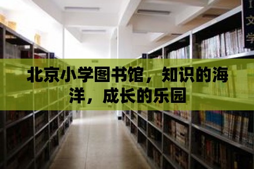 北京小學(xué)圖書館，知識的海洋，成長的樂園