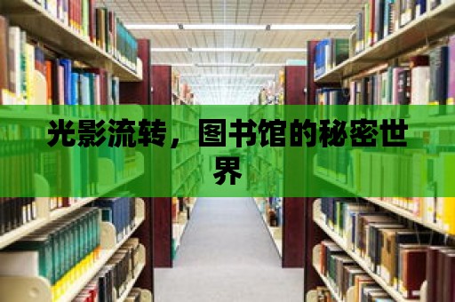 光影流轉，圖書館的秘密世界