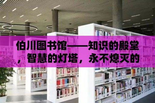 伯川圖書館——知識的殿堂，智慧的燈塔，永不熄滅的求知之旅