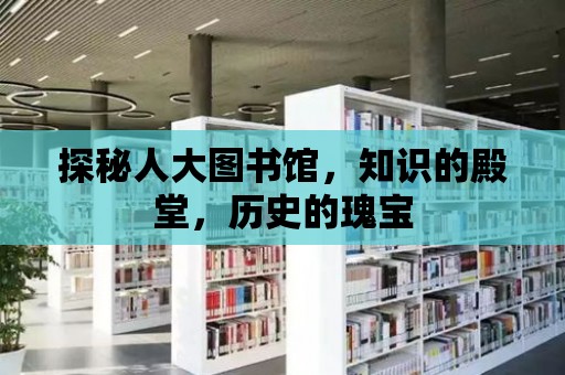 探秘人大圖書館，知識的殿堂，歷史的瑰寶