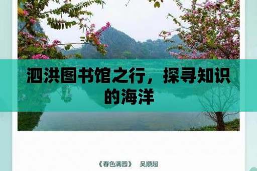 泗洪圖書館之行，探尋知識的海洋