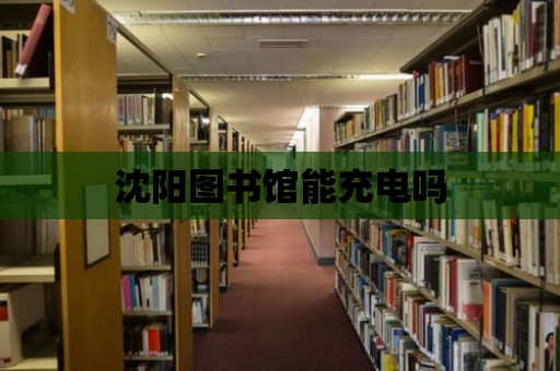 沈陽圖書館能充電嗎