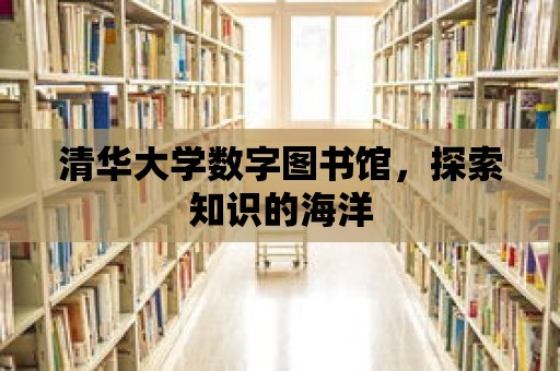 清華大學(xué)數(shù)字圖書館，探索知識的海洋