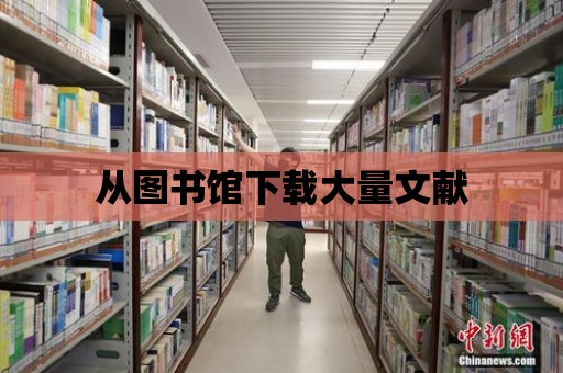 從圖書館下載大量文獻