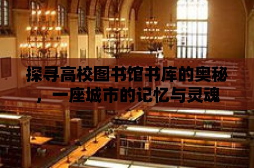 探尋高校圖書館書庫的奧秘，一座城市的記憶與靈魂