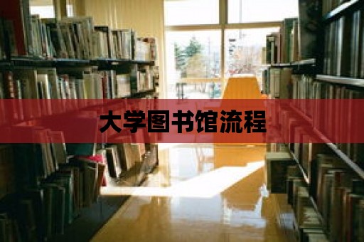 大學(xué)圖書館流程