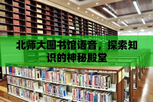 北師大圖書館語音，探索知識的神秘殿堂