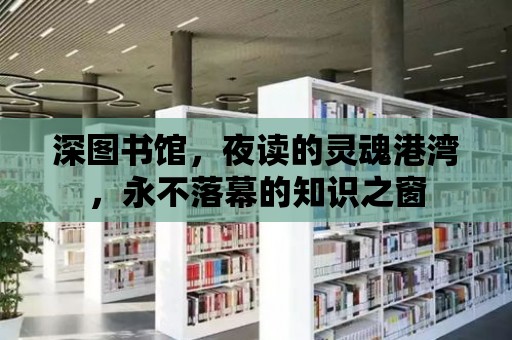 深圖書館，夜讀的靈魂港灣，永不落幕的知識之窗