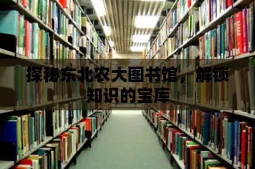 探秘東北農大圖書館，解鎖知識的寶庫