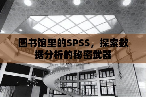 圖書館里的SPSS，探索數(shù)據(jù)分析的秘密武器