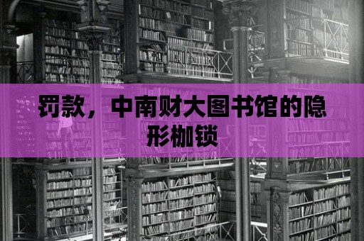 罰款，中南財大圖書館的隱形枷鎖