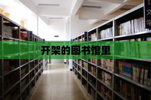 開架的圖書館里