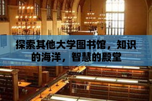 探索其他大學(xué)圖書館，知識的海洋，智慧的殿堂