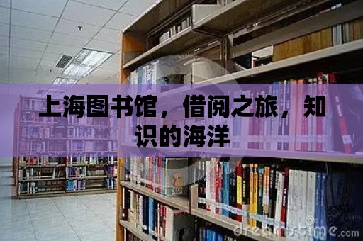 上海圖書館，借閱之旅，知識的海洋