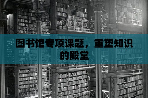 圖書館專項(xiàng)課題，重塑知識的殿堂