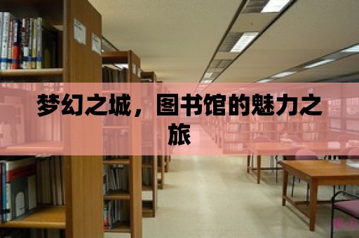 夢幻之城，圖書館的魅力之旅